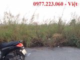 Tôi Cần Bán Ô Đất Phân Lô 225M2 Ở Khu Đô Thị Cao Xanh, Hà Khánh B Gần Tòa Án Ttrường Đoàn Thị Điểm !!