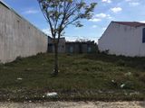 Bán Miếng Đất 10x30m, Thổ Cư 100%, Dân Đông, Giá 385 Triệu
