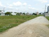 Tôi Có Lô Đất Thổ Cư 450M2 Gần Chợ, Sát Trường Đh Thủ Dầu Một, Ddh Việt Đức