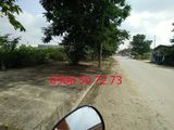 Tin Hot..Hot Đầu Năm. Tặng 3 Cây Vàng Sjc Cho 3 Giao Dịch Đầu Tiên Đầu Năm. Long Cang Riverside.