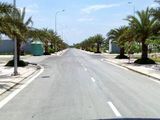 Đất Mt Trần Hưng Đạo_Thị Trấn Cần Đước_Shr_Xdtd_750 Triệu/nền.