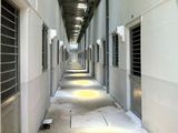 Chính Chủ Sang Gấp 2 Dãy Trọ 16 Phòng, 600Tr/Dãy.600M2 Đất Thổ Cư 100% Shr.Bình Dương