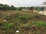 Chuyển Nhượng 1.800M2, Shr, Giá 6,3 Tỷ Đất Cây Lâu Năm (Có Thể Lên Thổ), Hẻm Nguyễn Văn Tạo