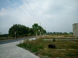 Đất Thổ Cư 100% Ngay Chợ Bà Điểm, Hóc Môn