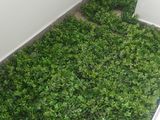 Giá Căn Hộ Heaven Riverview Có Thật Sự Cao Ở Thời Điểm Hiện Tại ,Tại Quận 8