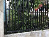 Bán Nền Hẻm Lộ Ngân Hàng, Đường Nguyễn Văn Cừ