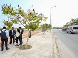 Mở Bán Dự Án Cát Tường Golden River Residence, Đợt 1, Hiệp Hòa, Long An . Lh 0969886502 ,0898320467