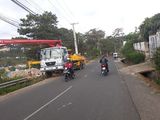 Bán Đất Đường Khu Quy Hoạch Nguyễn Hoàng, Phường 7, Đà Lạt 100M 1,45 Tỷ Đ1853