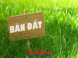 Bán Đất Xd+Nn Bạch Đằng, Phường 7, Đà Lạt Giá 4,2 Tỷ