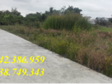 Lô Góc 3Mt Đinh Đức Thiện,99,9M2, Shr Thổ Cư ,xdtd