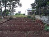 Đất Hẻm Nguyễn Hữu Thấu 5X30 Thổ Cư