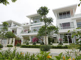 Mở Bán Khu Biệt Thự Biển Đẹp Nhất Flc Sầm Sơn