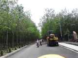 Dự Án Đất Nền Sân Bay “Hot” Nhất Long Thành Đã Có Sổ Hồng, Giá Rẻ.