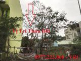 Bán Đất Kđt Ao Cá,Bò Sính Cao Thắng. Dt:75M2,Mặt Tiền:5M.Hướng:Đông Nam !!!