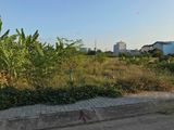 Bán Nhanh Đất Quận 9, 1560M2, Sổ Hồng Riêng, Giá Chỉ 4,9 Tỷ