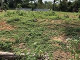 Cần Tiền Bán Đất 500M2 Tại Phú Quốc Giá Tốt Nhất Mọi Khu Vực