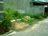 Bán Đất Full Thổ Cư 113M2, Giá Cực Rẻ 1.32 Tỷ, Sổ Riêng Sang Tên Ngay, Huỳnh Tấn Phát