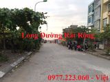 Sôt Đất Khu Đô Thị Cao Xanh, Hà Khánh B. Lh: 0977.223.060 - Việt !!!