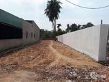 Đất Nền Đối Diện Chợ, Mặt Tiền Đường, Thích Hợp Mặt Bằng Kinh Doanh Mua Bán, 530M2_6Tỷ.