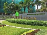 Cho Thuê Văn Phòng Orchard Garden Giá Chỉ 11,5 Triệu/tháng.
