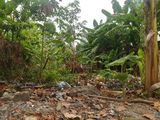 Bán Nền Kdc Nông Thổ Sản