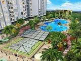 Chung Cư Giá Rẻ Cạnh Mỹ Đình, Giá Chỉ Từ 19Tr/m2