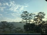Bán Đất Xd Đường An Dương Vương, Phường 2, Đà Lạt Giá 4,4 Tỷ