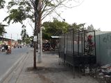 Đất Nền Huyện Nhà Bè 5X20M, Cách Cầu Bình Khánh 1,5Km, Mặt Tiền Đường Lớn 60M