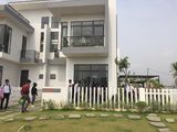 Biệt Thự Mini Siêu Đẹp Giá Cực Tốt Ngay Trung Tâm Thị Trấn Đức Hòa, Long An