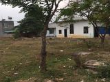 Bán Gấp Lô Đất 150M2 Gần Trường Học Và Gần Chợ
