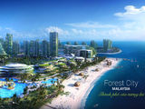 Bán 10 Suất Nội Bộ Cam Kết Cho Thuê Căn Hộ Forest City Tại Malaysia