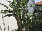 Bán Nhanh Lô Đất Khu Công Ích. Dt 5X18M. Đường 12M. Giá 67 Tr/M2. Q7