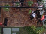 Bán Biệt Thự Vườn 8X15M, Hổ Trợ Góp 20 Năm, Ck 100 Triệu