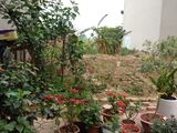 Bán 30M2 Đất Thổ Cư Đẹp 2 Mặt Thoáng Cách Đường Lê Trọng Tấn 300M Dương Nội Hà Đông 810 Triệu