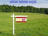 Bán Đất Xd Kqh Thái Lâm, Phường 4, Đà Lạt Giá 2,05 Tỷ