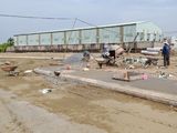Bán Gấp 100M2 Đất Ở Mặt Tiền 835D, Sổ Hồng Riêng, 450 Triệu