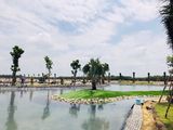 Hơn 2500 Sản Phẩm Thuộc Siêu Dự Án Mega City 2 Hết Sạch Veo Trong Ngày Mở Bán. Liên Hệ 0934.174.101