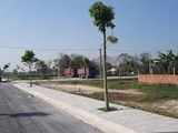 Đất Nền Đức Hòa, Long An, Areca Villa, Vị Trí Đẹp Shr