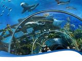 Chỉ 450Tr Sở Hữu Condotel Nội Thất 5* View Biển The Arena Nha Trang