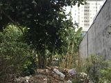 Bán Nhanh Lô Đất Khu Công Ích .Diện Tích 5X16M.Hướng Đông .Giá 5.3 Tỷ .Quận 7.