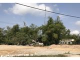 Cần Bán Lô Kiều Phụng , Cẩm Lệ , Hướng Đông , Giá 14,3Tr/m2