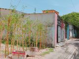 Mua Đất Tặng Nhà Đường Nguyễn Văn Huề 127M2