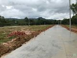 Mở Bán Các Sản Phẩm Trên Đường Búng Gội, Dương Đông - Cửa Cạn Và Ba Trại Giá Hấp Dẫn Chỉ 28 Lô