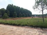Cần Bán Một Số Đất Nền Tại Khu Đô Thị Và Công Nghiệp Bình Dương