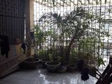 Bán Nhà Khu Thanh Nhàn Diện Tích 72M2 Xây 5 Tầng Mặt Tiền 4,4M Giá 11 Tỷ