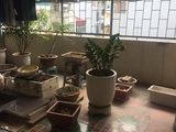 Nhà 42M2, 5 Tầng Phố Thái Hà, Ngõ Ô Tô 5M, Giá 4,7 Tỷ.
