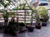Bán Nhà Phố Nhân Hòa, Dân Trí Cao, An Ninh Tốt, 43M2, 4.3 Tỷ