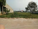 Cần Tiền Bán Lô Đất Shr, Tc 100%, Vị Trí Đẹp, Giá Công Nhân