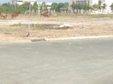 Đất Nền Giá Rẻ Tại Chơn Thành. Sdt 0941759161