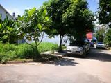 Bán Đất Thổ Cư Chính Chủ Mặt Tiền Thành Phố Tân An, xây dựng Tự Do, giá Chỉ 550 Triệu